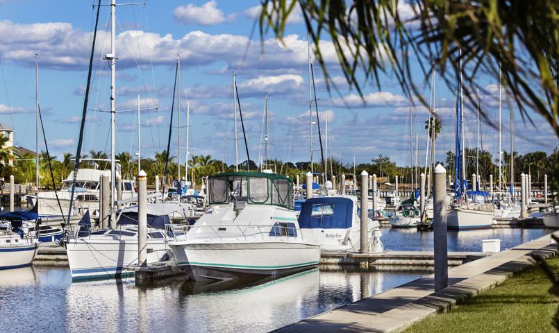 Little Harbor Tampa Fl