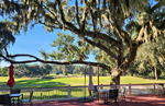 Beaufort, South Carolina Tennis Community