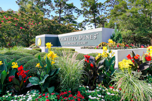 Return to the Palmetto Dunes Feature Page