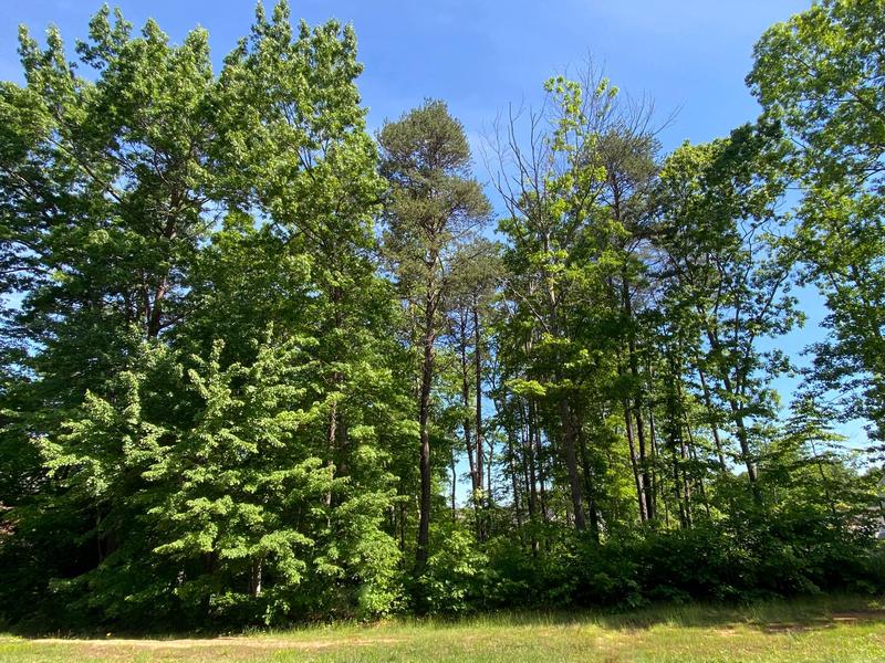 Read more about Over half Acre wooded Lot in Fawn Lake