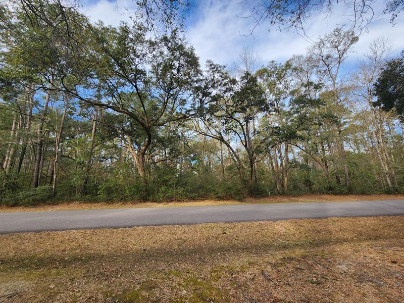 Return to the Bull Point Plantation Property Page