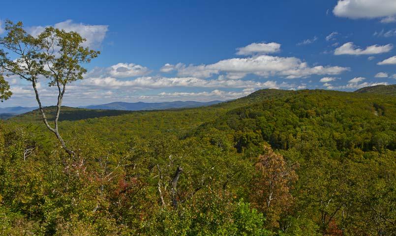 The Summit at Clear Creek | North Georgia Gated Mountain Community