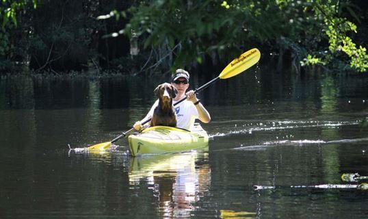 Hobbies for Retired Men